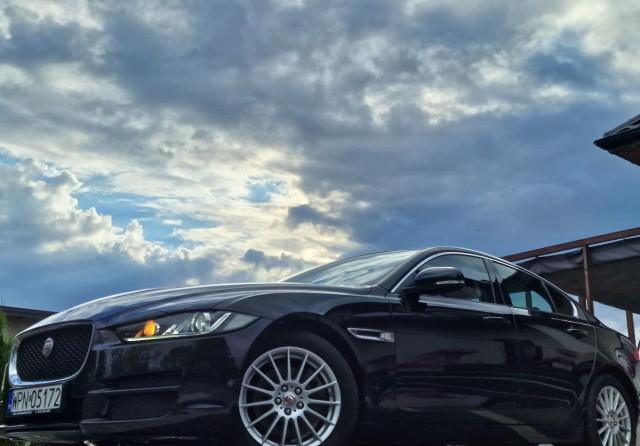 jaguar